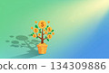 Money tree and coins growing from a potted plant, illustration of investment and wealth creation 134309886