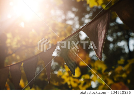 Autumn Celebration Flags on a Sunny October Day 134310526