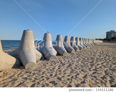 Weathered tetrapod blocks guard the sandy beach. 134311286