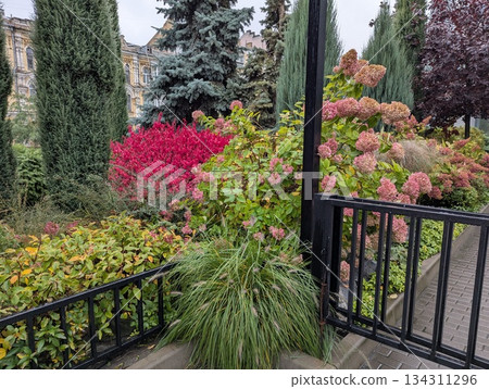 Colorful garden scene, Autumn garden with lush foliage, Vivid courtyard showcasing vibrant plant colors, Serene urban garden environment with colorful shrubbery and decorative gate 134311296