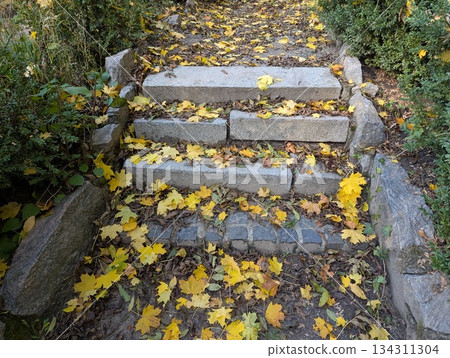 the steps in the park are strewn with yellow leaves 134311304