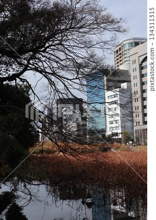 2024, Fukuoka, Fukuoka City, Landscape, Chuo Ward, Maizuru Park, Part 8 2024, Fukuoka, Fukuoka City, Landscape, Chuo Ward, Maizuru Park, Part 8 134311315
