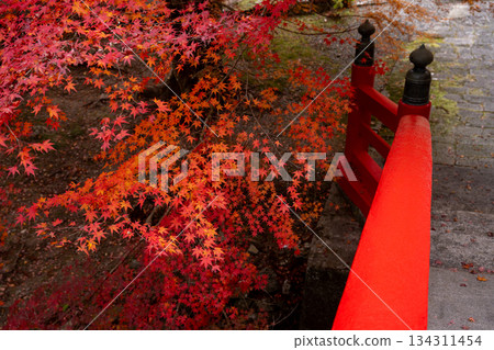 大堂院的秋葉與紅橋 大堂院的秋葉與紅橋 134311454