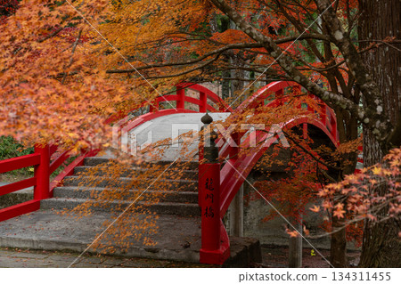 Autumn leaves and red bridge at Daidoin Temple Autumn leaves and red bridge at Daidoin Temple 134311455