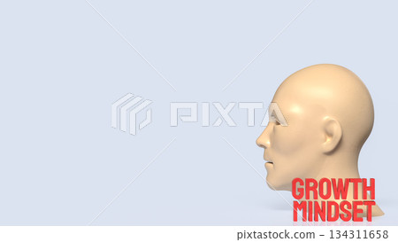 Human Mind Growth Mindset Concept 3d render. 134311658