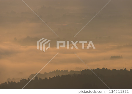 南亞草（熊本縣南亞草市）的晨曦與薄霧 134311821