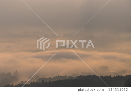 Morning glow and mist in Minamiaso (Minamiaso, Kumamoto Prefecture) 134311932
