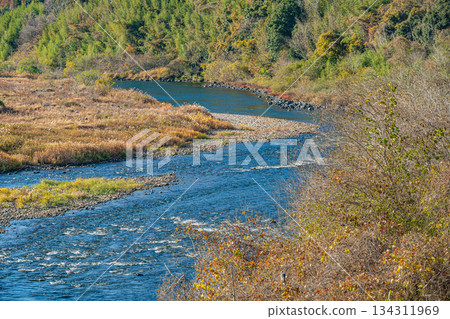 Early winter scenery of the Kizugawa River, Kasagi Town, Kyoto Prefecture 134311969