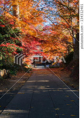 鵝卵石和秋天的落葉 鵝卵石和秋天的落葉 134312401