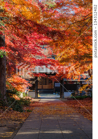 山門的秋葉 134312402