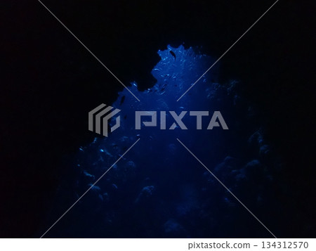 A view of light shining through a crevice in the rocks from inside an underwater cave A view of light shining through a crevice in the rocks from inside an underwater cave 134312570