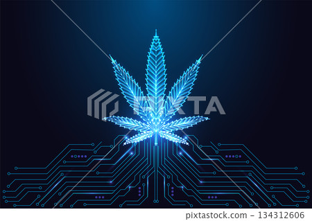 Futuristic glowing cannabis leaf on circuit board, digital hemp and industry vector illustration 134312606
