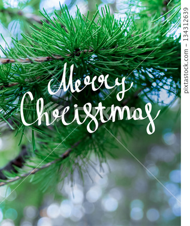 Handwritten Christmas greetings on a photo with space for text Handwritten Christmas greetings on a photo with space for text 134312639