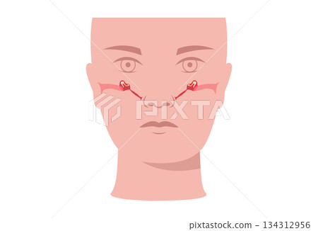 Eustachian tube poster 134312956