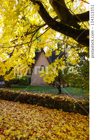 small historic Tudor Revival style building small historic Tudor Revival style building 134313351