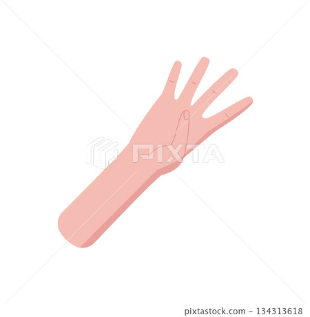 Flat cartoon hand with bare palm and four fingers raised in a gesture sticker. Human hand showing the number 4 with open palm and fingers. Bare skin arm in counting sign, isolated on white background Flat cartoon hand with bare palm and four fingers raised in a gesture sticker. Human hand showing the number 4 with open palm and fingers. Bare skin arm in counting sign, isolated on white background 134313618