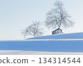 Snow-Shaded Hill, Ojiya City, Niigata Prefecture 134314544