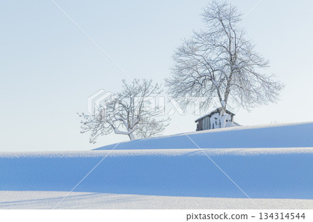 Snow-Shaded Hill, Ojiya City, Niigata Prefecture 134314544