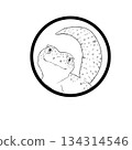 A realistic and cute monochrome illustration of a leopard gecko. 134314546