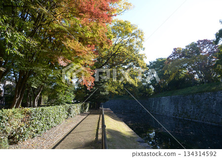 二條城、北外護城河及秋葉,京都市中京區二條城町 二條城、北外護城河及秋葉,京都市中京區二條城町 134314592