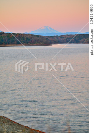 富士山,初冬,白雪皚皚,日出,從狹山湖眺望 富士山,初冬,白雪皚皚,日出,從狹山湖眺望 134314996