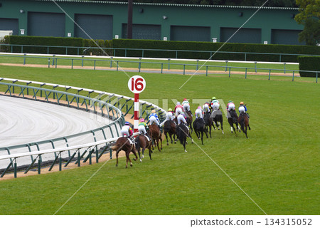 Winter in Chukyo: Okehazama Winter in Chukyo: Okehazama 134315052