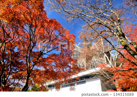 鼻妙賢山（精靈信徒堂）[大阪府豐野郡鼻町] 134315089