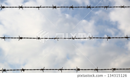 藍天和鐵絲網 134315126