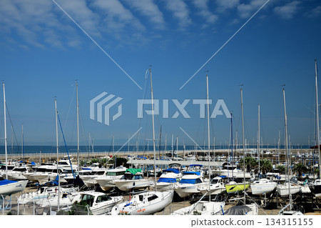 Tannowa Yacht Harbor [Misaki Town, Osaka Prefecture] 134315155