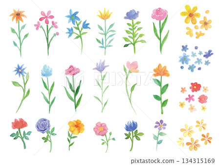 22件水彩手繪花卉材料 134315169
