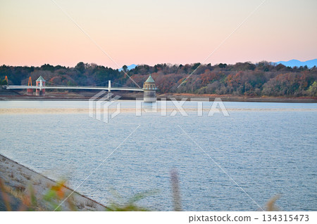 Lake Sayama Water Intake Tower - View from the lakeside at sunrise 134315473