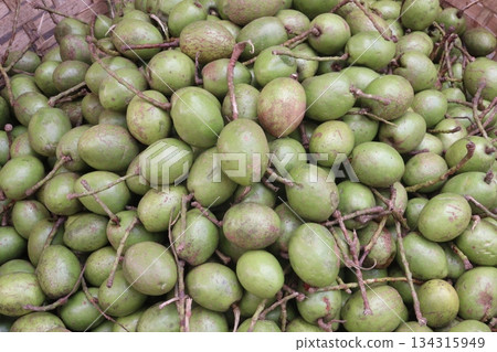 Elaeocarpus serratus also known Ceylon olive on shop Elaeocarpus serratus also known Ceylon olive on shop 134315949