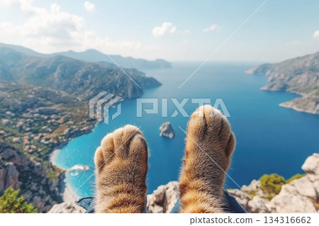 Cat Paws Relaxing Against a Serene Seascape with Mountains in Background Cat Paws Relaxing Against a Serene Seascape with Mountains in Background 134316662