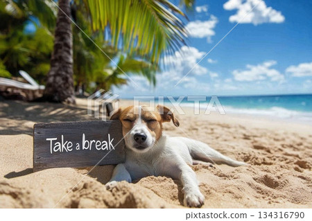 Take a break, Relaxed Dog Enjoying a Summer Day on the Beach with Palm Trees and Seaside View Take a break, Relaxed Dog Enjoying a Summer Day on the Beach with Palm Trees and Seaside View 134316790