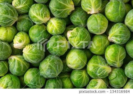 Fresh Brussels Sprouts Close Up of Green Vegetables for Healthy Cooking and Nutrition 134316984