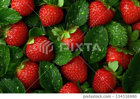 Freshly Harvested Red Strawberries with Green Leaves Ideal for Organic Designs 134316990