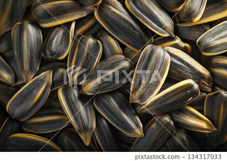 Pile of Sunflower Seeds with Rich Colors in a Full Frame Composition 134317033
