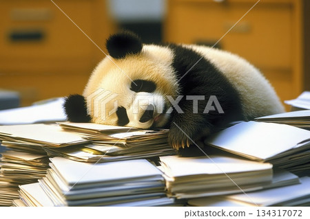 Worn Out Panda Bear Slumped Over Pile of Paper Forms in Office Environment 134317072