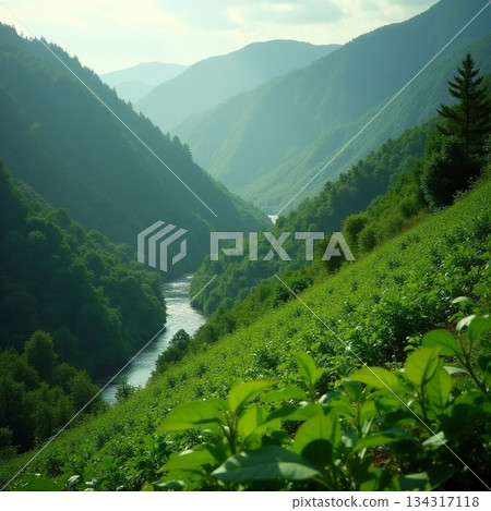 AI generated Verdant valley scenes, Beautiful lush valley battling misty mountains at dawn AI generated Verdant valley scenes, Beautiful lush valley battling misty mountains at dawn 134317118