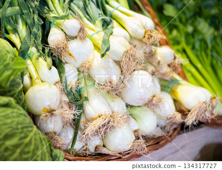 Bunch of spring or green eschalot onion in shop window Bunch of spring or green eschalot onion in shop window 134317727