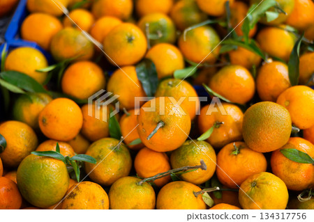 Tangerines in shop window Tangerines in shop window 134317756
