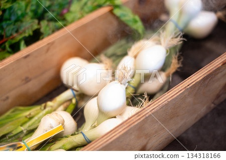 Bunch of spring or green eschalot onion in shop window Bunch of spring or green eschalot onion in shop window 134318166