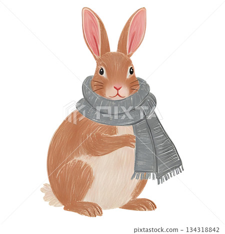 Illustration of a rabbit wearing a scarf Illustration of a rabbit wearing a scarf 134318842