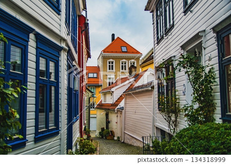 斯堪的納維亞色彩繽紛的房屋 134318999