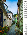 Scandinavian residential area 134319003