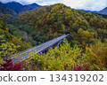 奧飛驒阿爾卑斯大橋周圍的秋葉美景 134319202