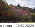 奈良公園秋葉 134319229