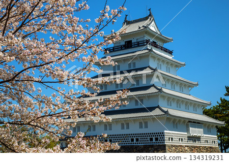 島原城和櫻花 島原城和櫻花 134319231