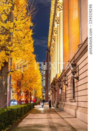 東京：丸之內銀杏樹在夜色中呈現出金黃的景象 134319246