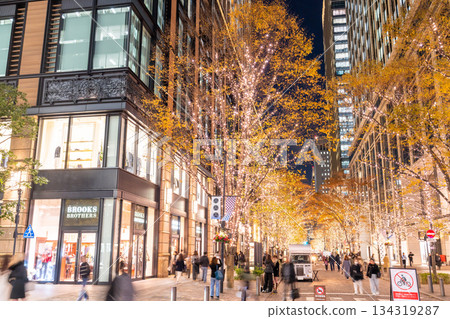 《東京》丸之內 / 冬季燈飾 134319287